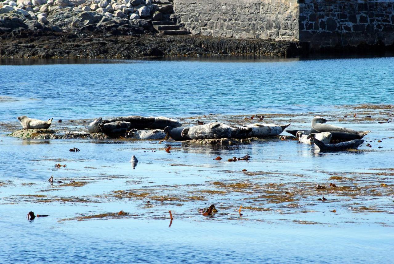 Bed and Breakfast Orsay House Portnahaven Exterior foto